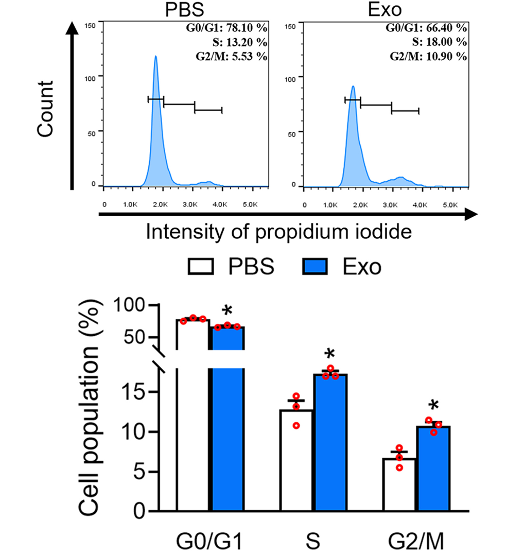 hucMSC exosomes accelerate HHDPC cell cycle by increasing S and G2/M phases and reducing G1 phase.